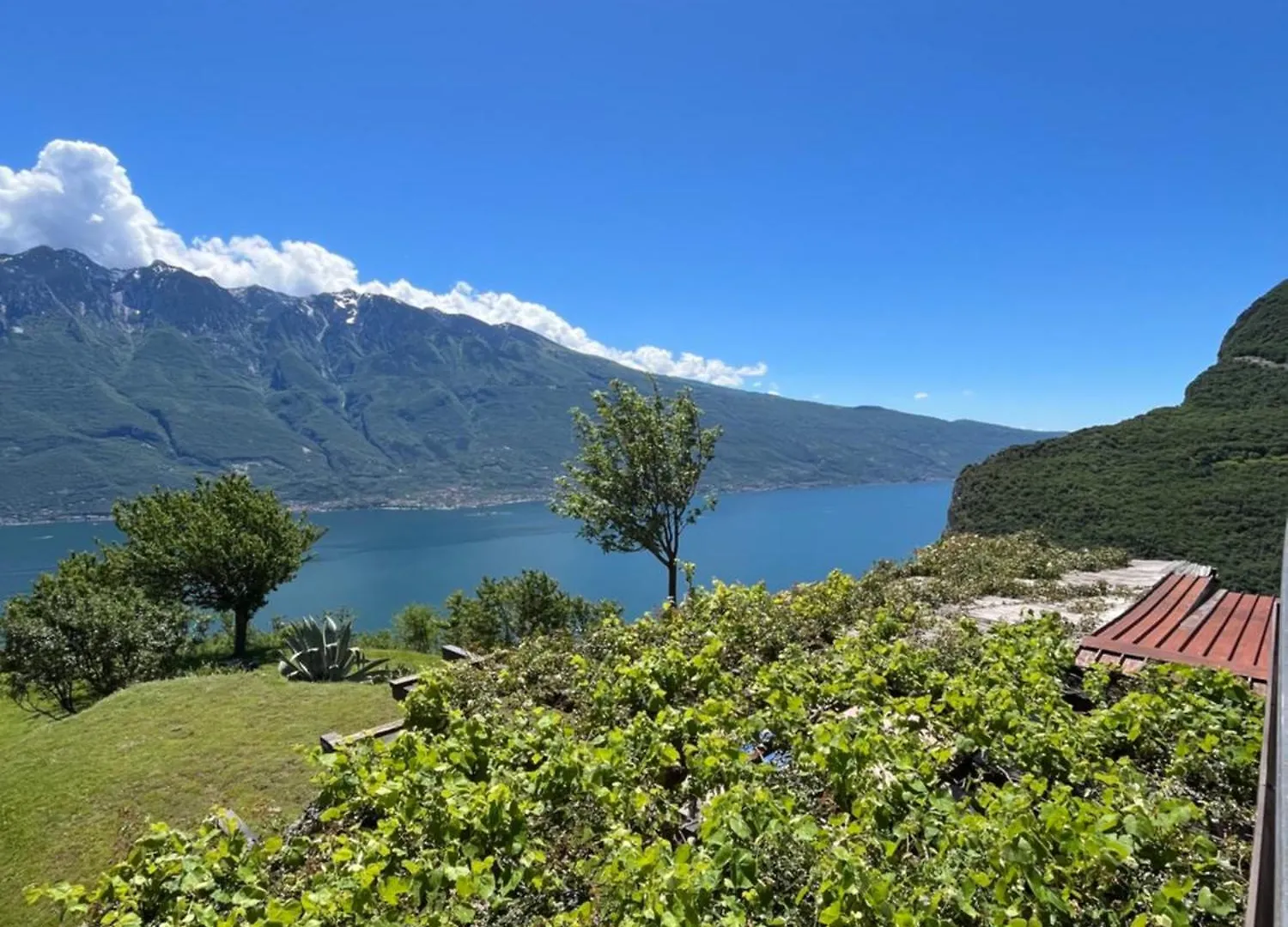 Hotel Villa Selene Tremosine